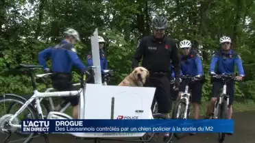 Des passants contrôlés par un chien policier à Lausanne