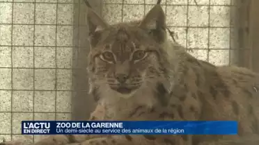 Zoo de la Garenne: 50 ans au service de la faune régionale