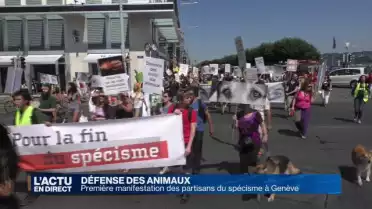 Première manifestation des opposants au spécisme à Genève