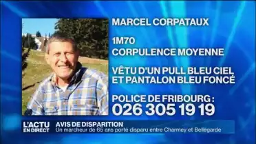 Un marcheur de 65 porté disparu entre Charmey et Bellegarde