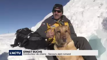 Le Secours alpin romand recherche des conducteurs de chiens
