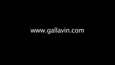 Gallavin - Avec le temps