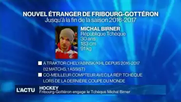 Fribourg-Gottéron engage le Tchèque Michal Birner