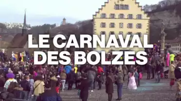 Carnaval des Bolzes 2017 - Cortège