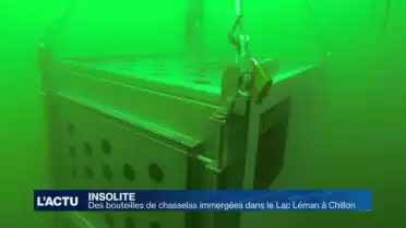 1&#039;000 bouteilles immergées dans le Lac Léman pour 3 ans