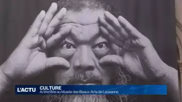 Ai Wei Wei au Musée des Beaux-Arts de Lausanne