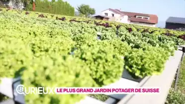Le plus grand jardin potager de Suisse