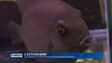 Succès pour la 29e foire aux poissons de Lausanne