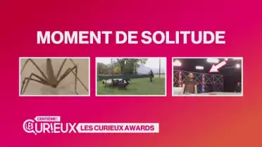 Les Curieux Awards