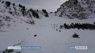 Avalanches mortelles