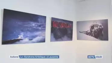 &quot;Syndrome Artistique&quot;: une galerie unique en Suisse