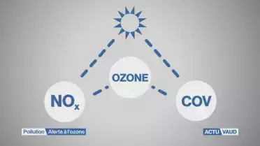 La canicule fait grimper les concentrations en ozone