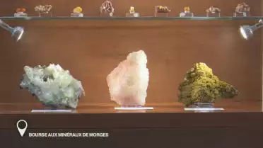 Bourse aux minéraux de Morges