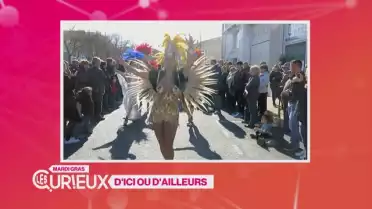 Le carnaval le plus long au monde est Français