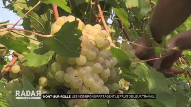 Des vignerons partagent le fruit de leur travail