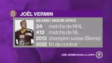 Connaissez-vous Joël Vermin ?
