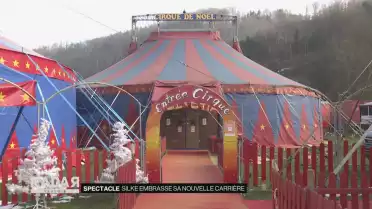 Silke Pan embrasse une nouvelle carrière au Cirque Helvetia