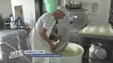 De la mozzarella made in Fribourg