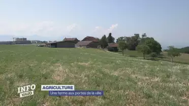 Une ferme aux portes de la ville de Lausanne