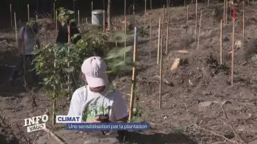 Climat : une sensibilisation par la plantation