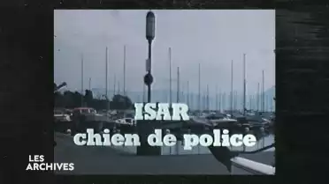 Isar, chien de police en 1981