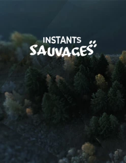 Instants sauvages