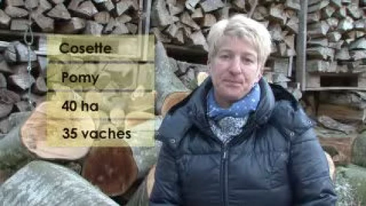 Les Anges de la Ferme - La communication