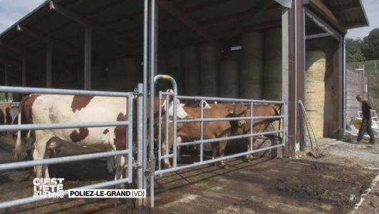 Stefana va à la découverte d&#039;une ferme moderne