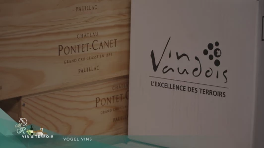Boire - Vogel Vins