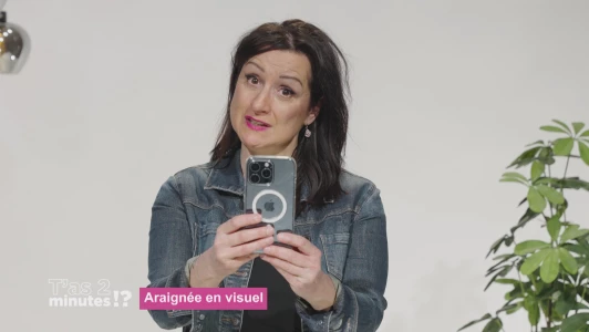 Araignée en visuel