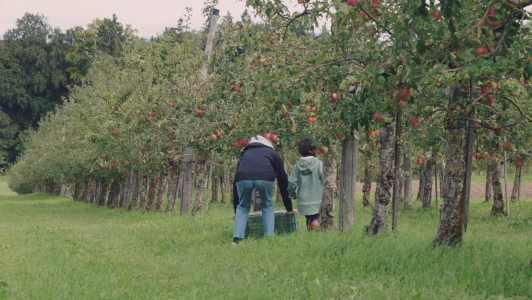 L&#039;école de demain