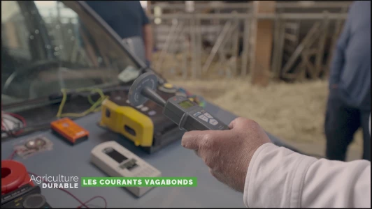 Dossier du mois - Les courants vagabonds