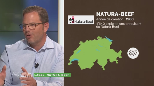 Label Natura-Beef