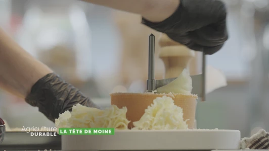 Zoom sur la tête de moine