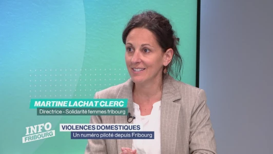 142, nouvelle ligne d'urgence pour les violences domestiques