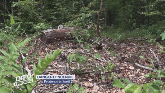 Danger d'incendie en forêt: prudence