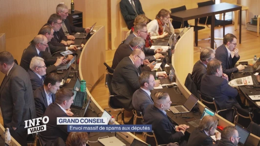 Envoi massif de spams aux députés