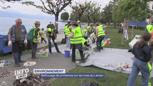 Nettoyage de printemps sur les rives du Léman