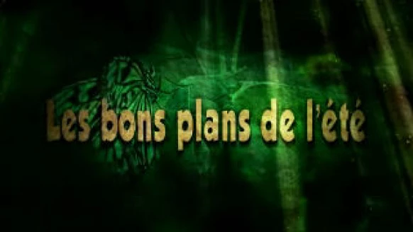 Les Bons Plans - Labyrinthe de maïs, Bottens