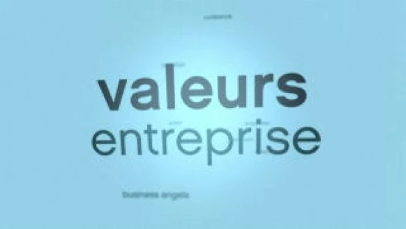 Valeurs entreprise du 14.12.09