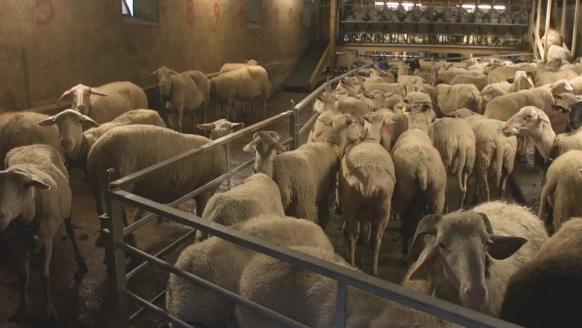 Acti'TV [S.2017][E.4]