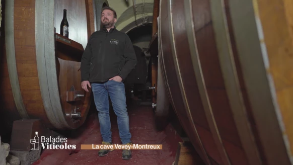 Balades viticoles  [S.2022][E.9]