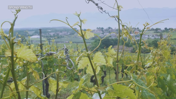 Les archives de Retour vers le passé [S.2023][E.23]