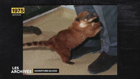 Les archives de Retour vers le passé [S.2023][E.24]