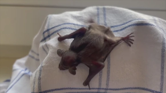 Toudou [S.2024][E.12]