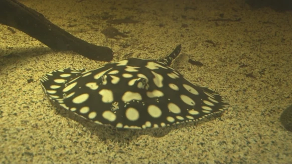 Toudou [S.2024][E.13]