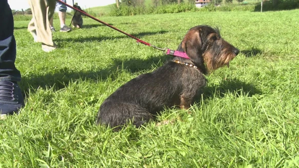 Toudou [S.2024][E.15]