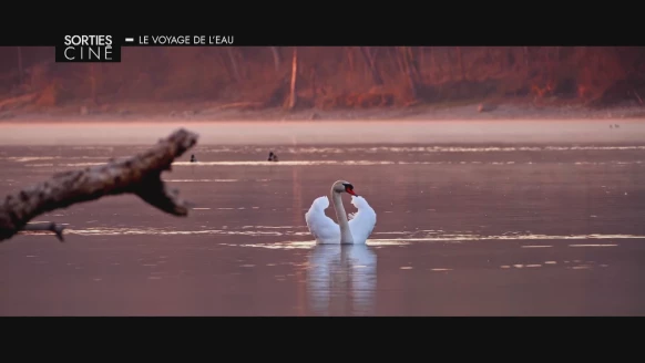 Sorties ciné [S.2025][E.45]