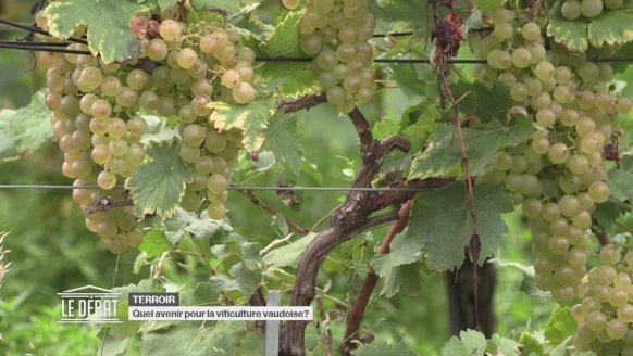 Le Débat [S.2025][E.30]