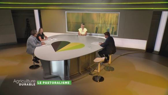Le pastoralisme